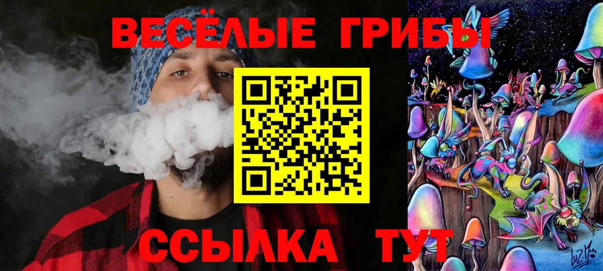 Псилоцибиновые грибы прущие грибы Кингисепп