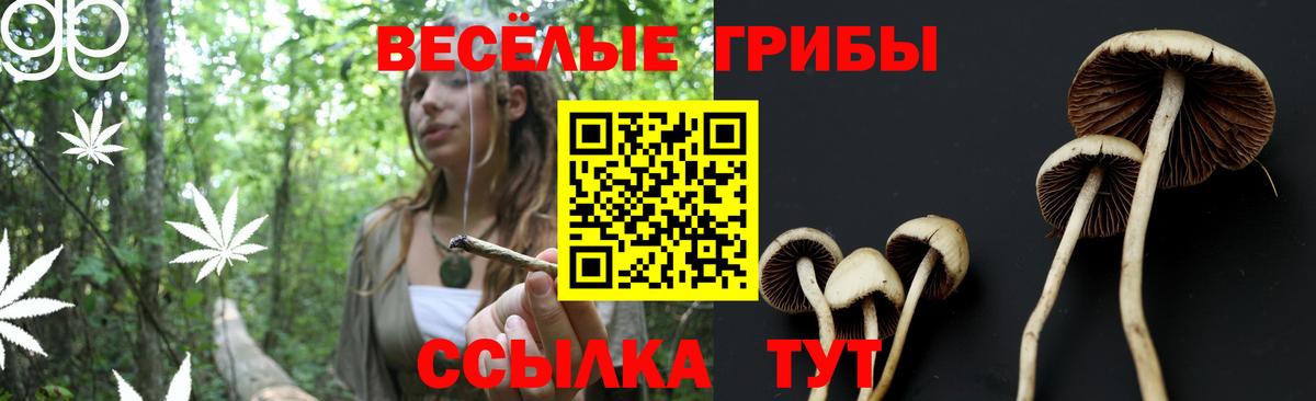 Галлюциногенные грибы Psilocybine cubensis  Вход с VPN  сколько стоит  Кингисепп 